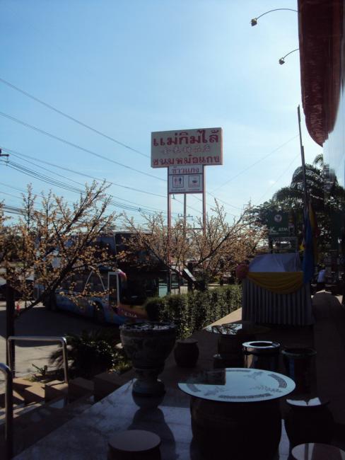 DSC04266_resize.jpg